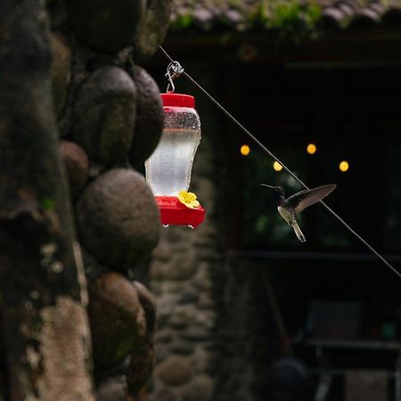 Hotel Pura Vista Glamping El Castillo Esterno foto